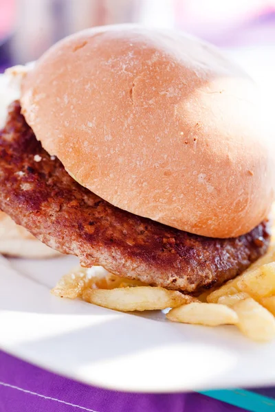 Burger with french fries — Stock Photo, Image