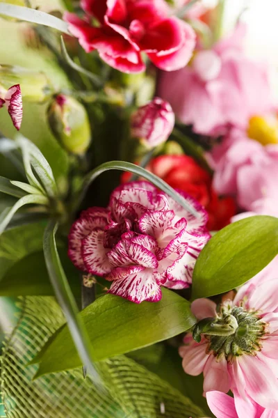 Schöne Blumen — Stockfoto