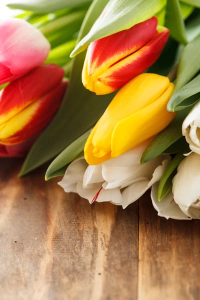 Schöne Tulpen — Stockfoto