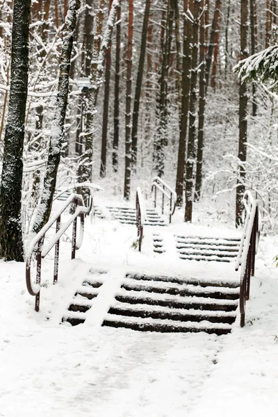 Floresta de Inverno — Fotografia de Stock