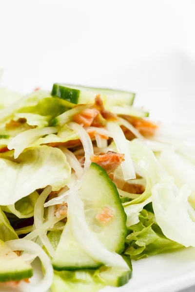 Friss salátával — Stock Fotó