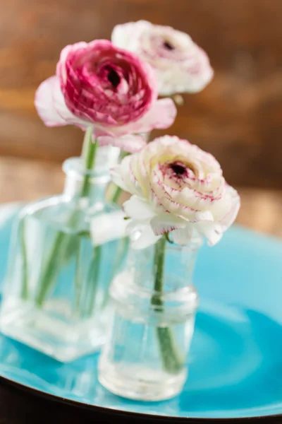 Ranunculus i vas — Stockfoto