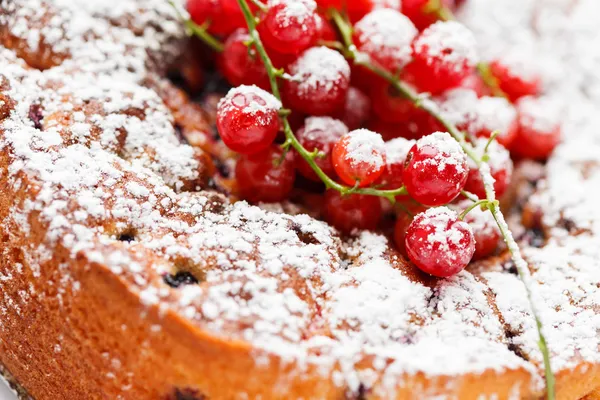 Bolo de verão — Fotografia de Stock