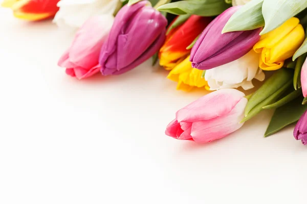 Tulipani primaverili — Foto Stock