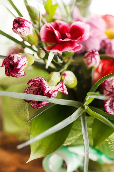 Spring flowers — Stock Photo, Image