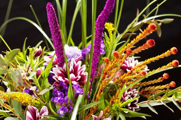 Színes virágok — Stock Fotó
