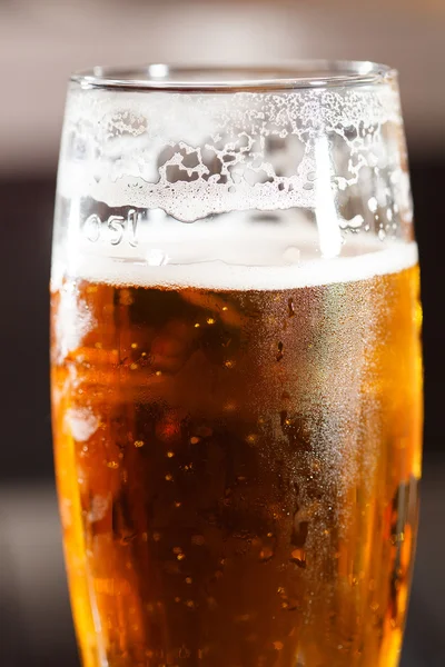 Beer — Stock Photo, Image