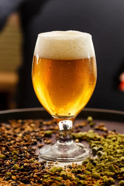 Beer — Stock Photo, Image