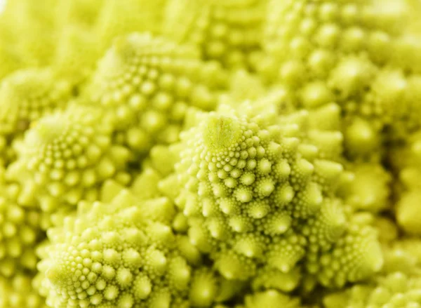 Romanesko broccoli — Stock Photo, Image