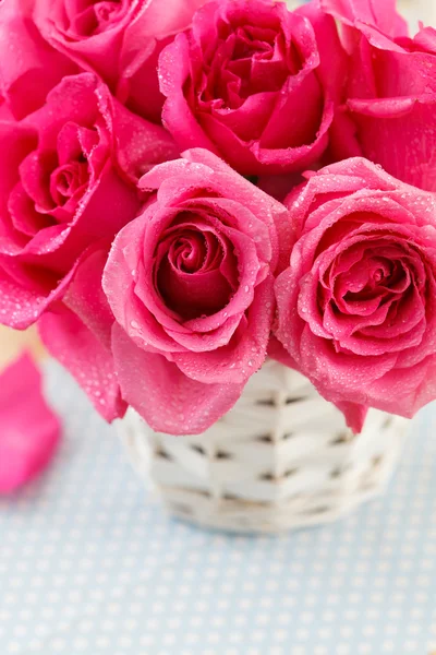 Roze rozen — Stockfoto