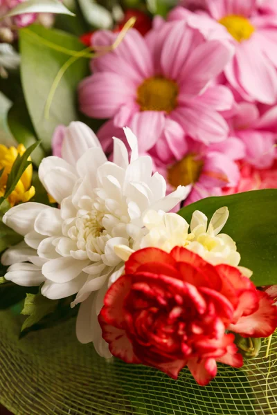 Ładne kwiaty — Zdjęcie stockowe