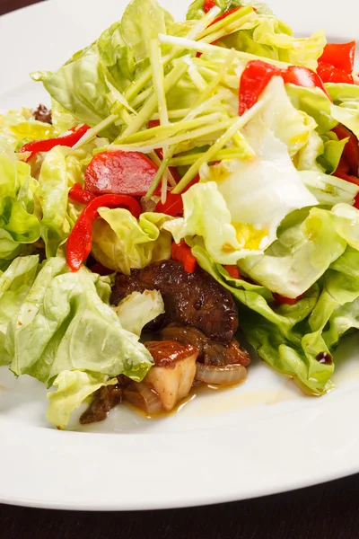 Salada com carne — Fotografia de Stock