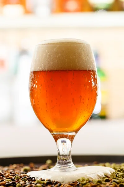 Пиво в баре — стоковое фото