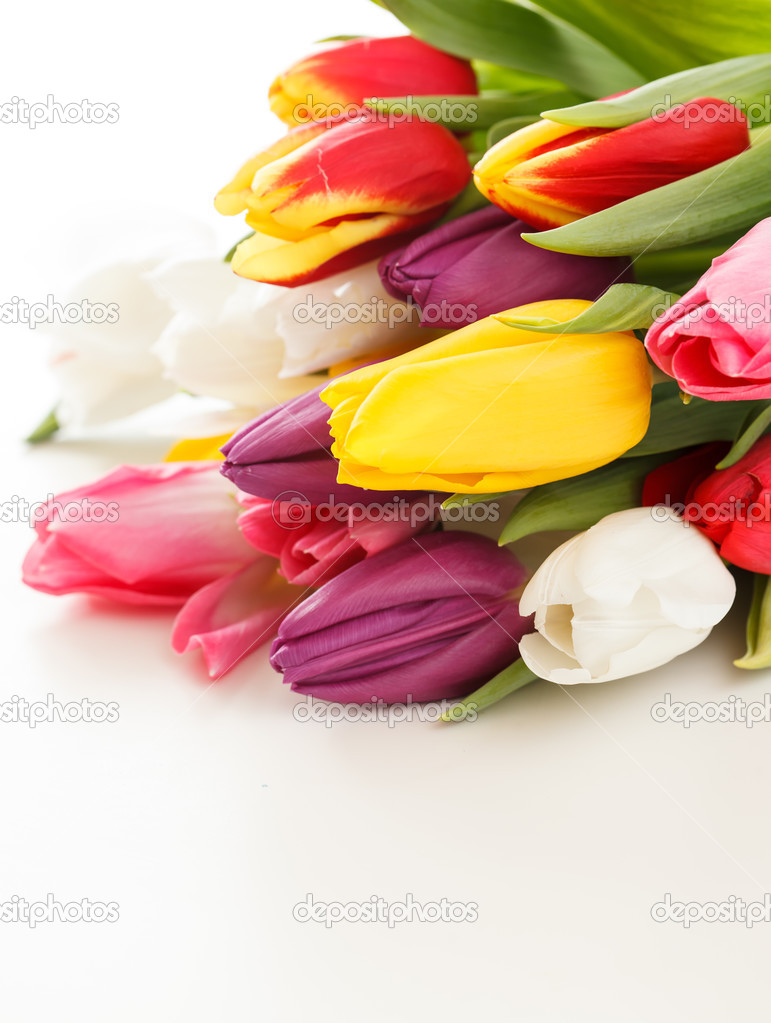 Nice tulips