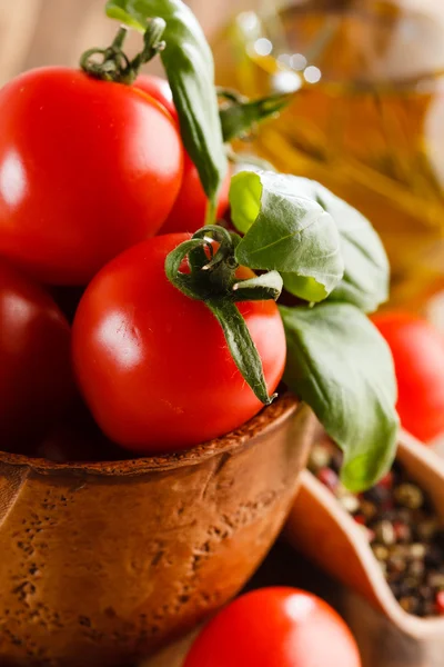 Fresh tomatoes — Stock Photo, Image