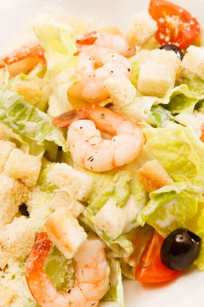 Caesar salad with shrimps — Stock Photo, Image