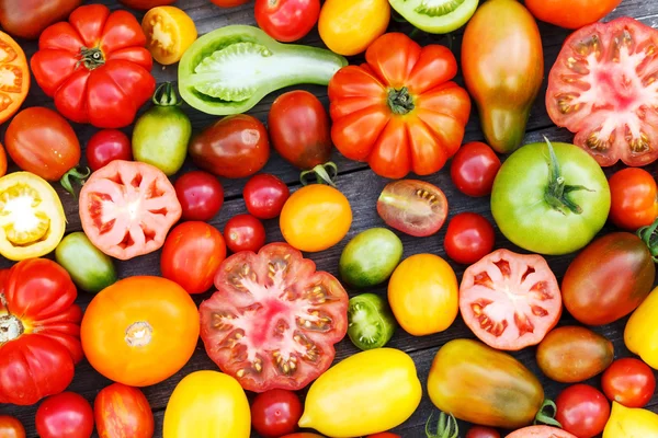 Barevné rajčata — Stock fotografie