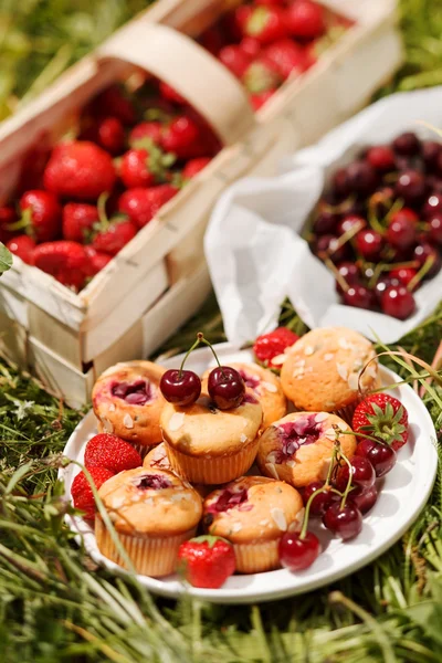 Muffins de verão — Fotografia de Stock