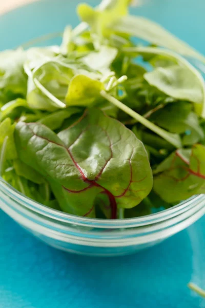 Fresh salad — Stock Photo, Image