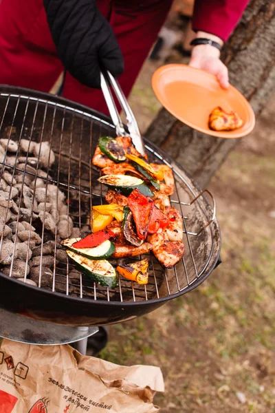 Grillade grönsaker och kyckling — Stockfoto