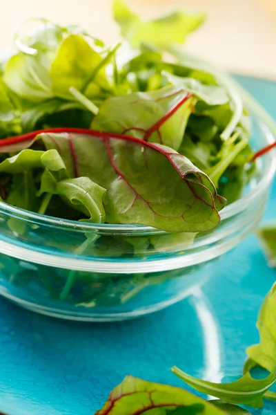 Taze salata — Stok fotoğraf