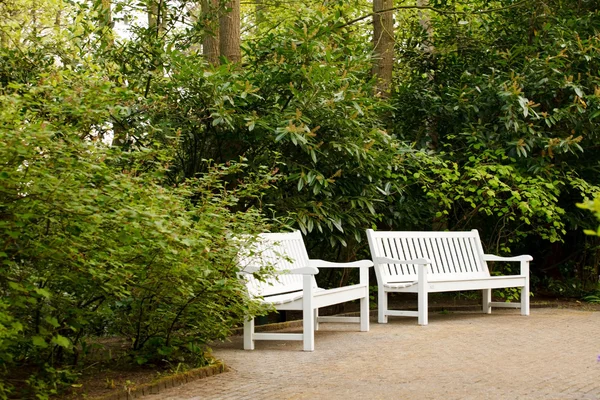 Bílá lavička v parku — Stock fotografie