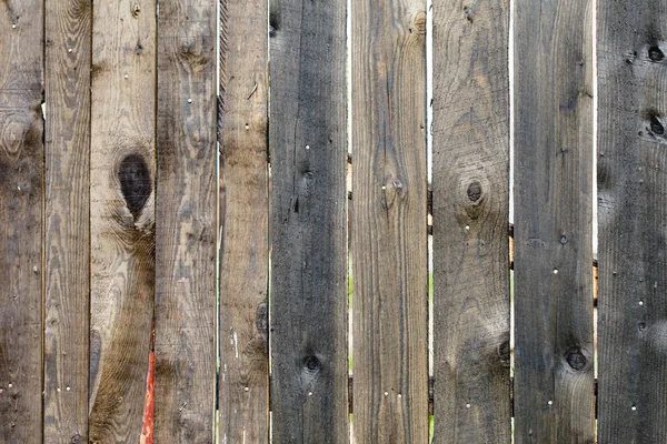 Wood texture — Stock Photo, Image