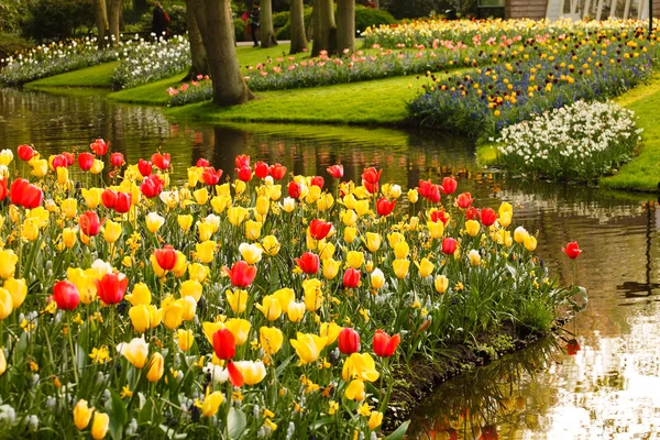 Frühlingsgarten — Stockfoto