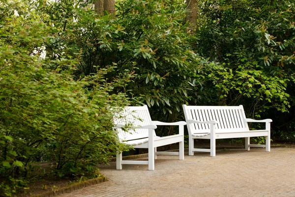 Banc blanc dans le parc — Photo