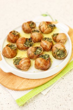 Bourguignonne salyangoz