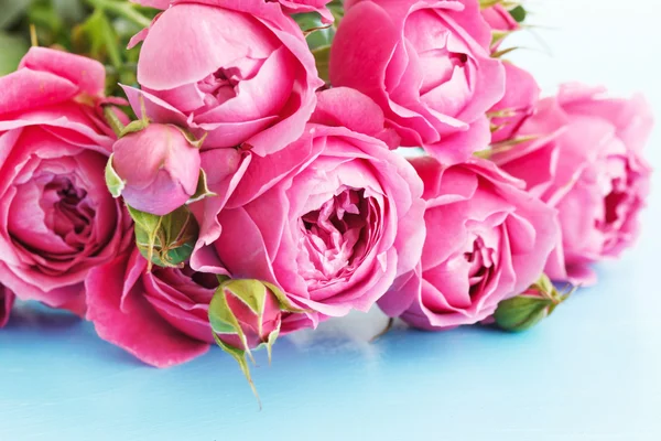 Rosas rosadas — Foto de Stock