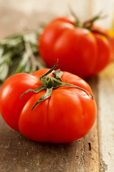 Tomates fraîches — Photo