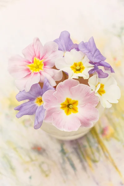 Άνθη άνοιξη — Φωτογραφία Αρχείου