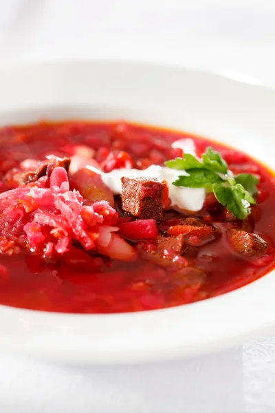 Sopa de beterraba — Fotografia de Stock