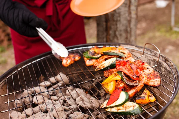 Grilled vegetables and chicken — Stock Photo, Image