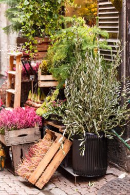 küçük çiçek mağazası