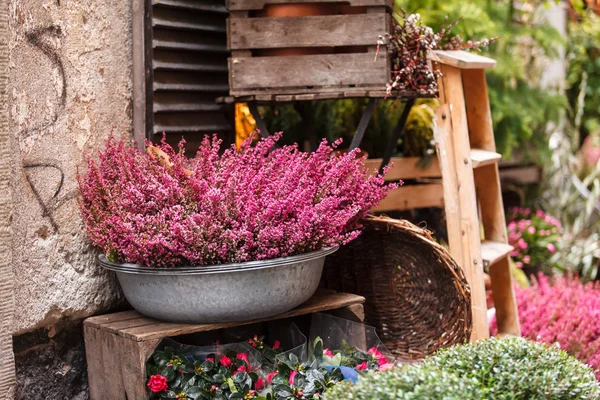 Kleiner Blumenladen — Stockfoto