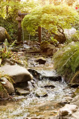 Ormandaki su kaynağı