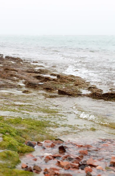 Пляжу Червоного моря — стокове фото