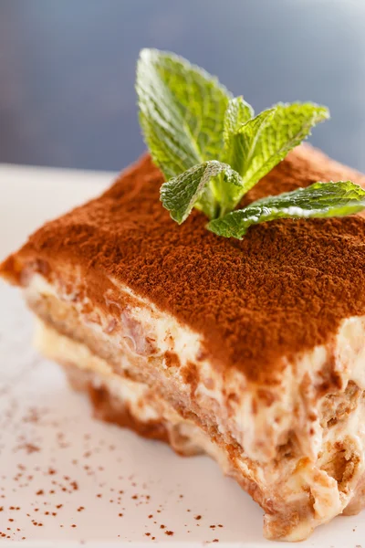 Gâteau Tiramisu — Photo