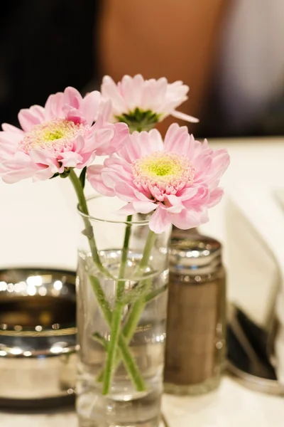 Set in restaurant — Stock Photo, Image