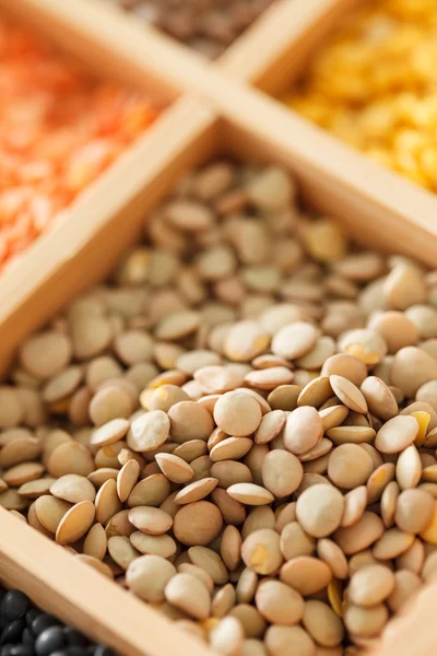 Organic lentils — Stock Photo, Image