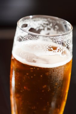 Lager bira