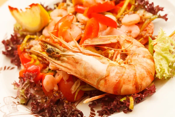 Shrimp salad — Stock Photo, Image