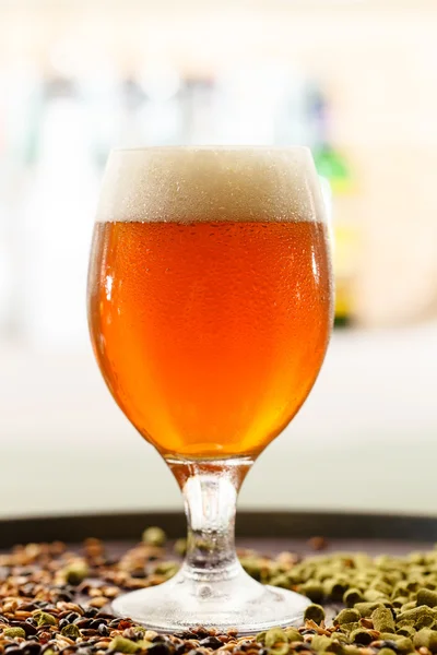 Bier in der Bar — Stockfoto