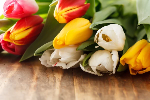 Schöne Tulpen — Stockfoto