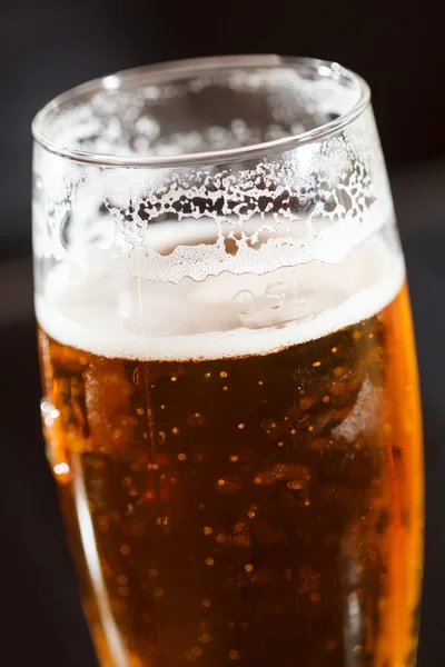 Lager beer — Stock Photo, Image