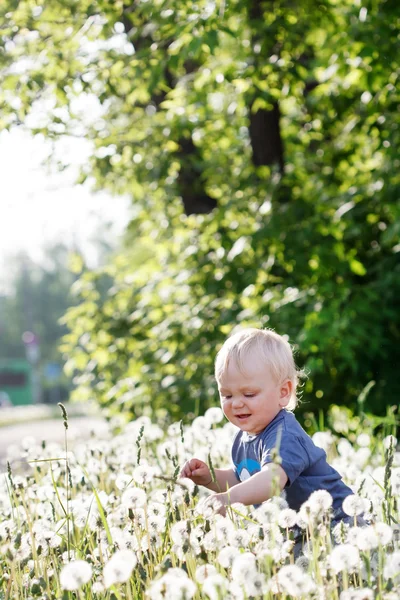 Küçük yeşil çayır üzerinde oturan oğlu — Stok fotoğraf