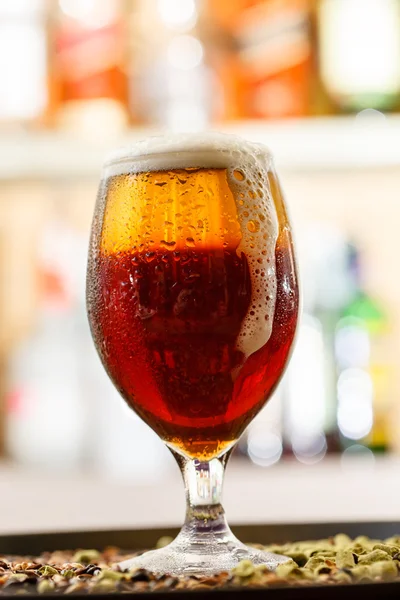 Beer in the bar — Stock Photo, Image