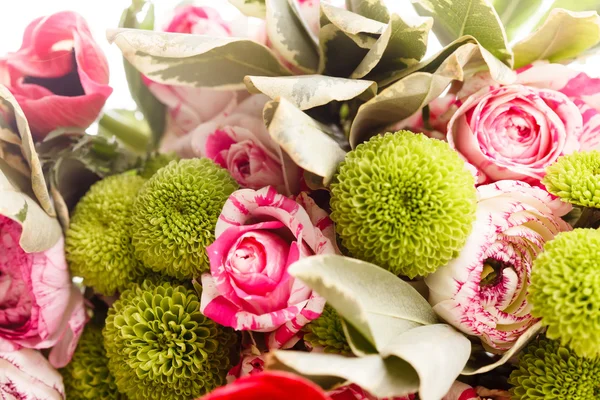 Flores de primavera — Fotografia de Stock